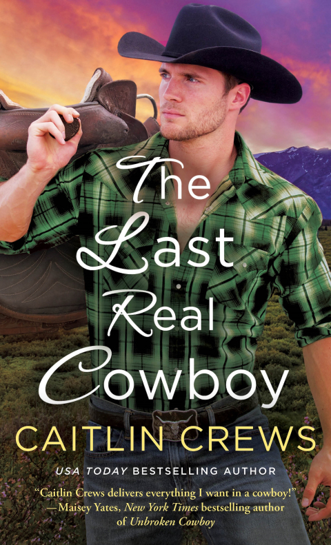 Cover image for book The Last Real Cowboy