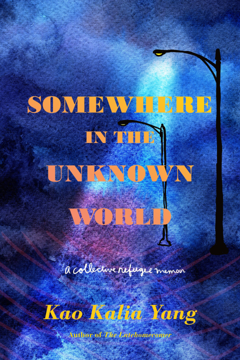 Cover image for book Somewhere in the Unknown World