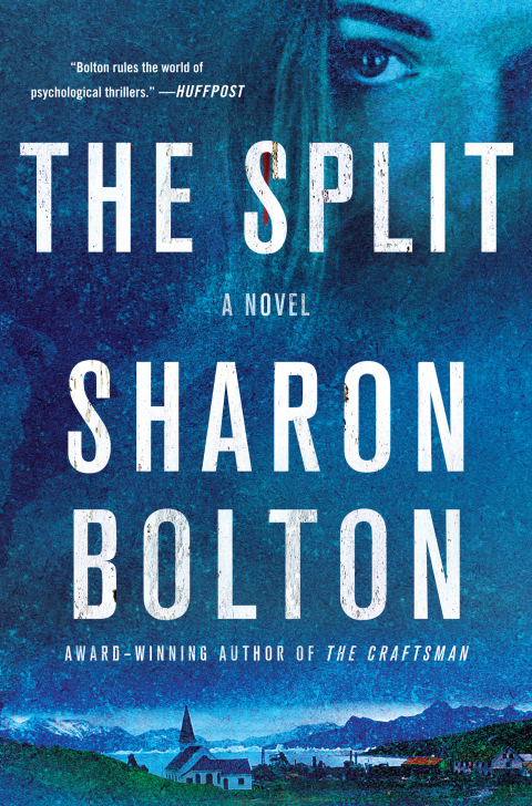 Cover image for book The Split