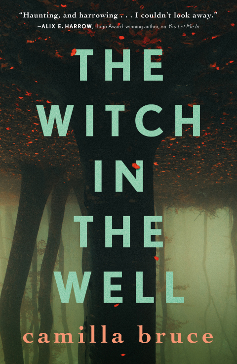 Cover image for book The Witch in the Well