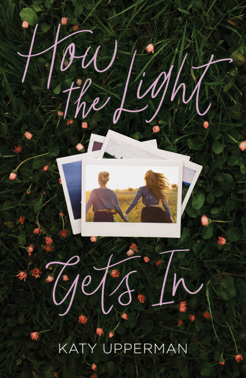 Cover image for book How the Light Gets In