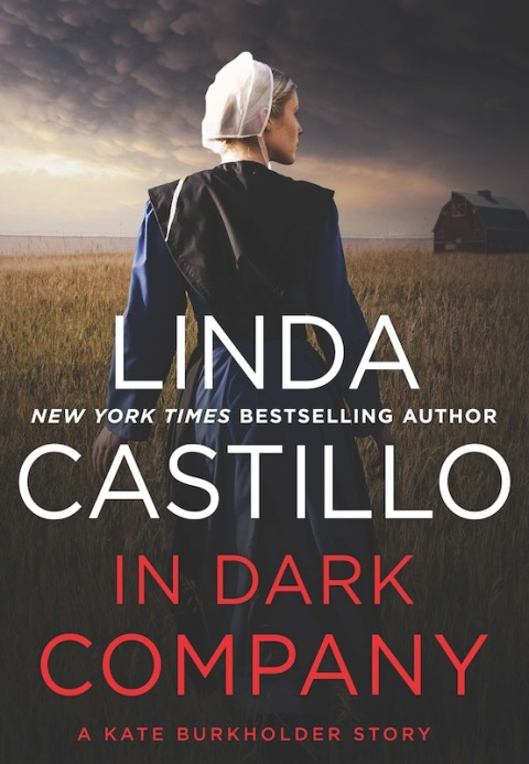 Cover image for book In Dark Company