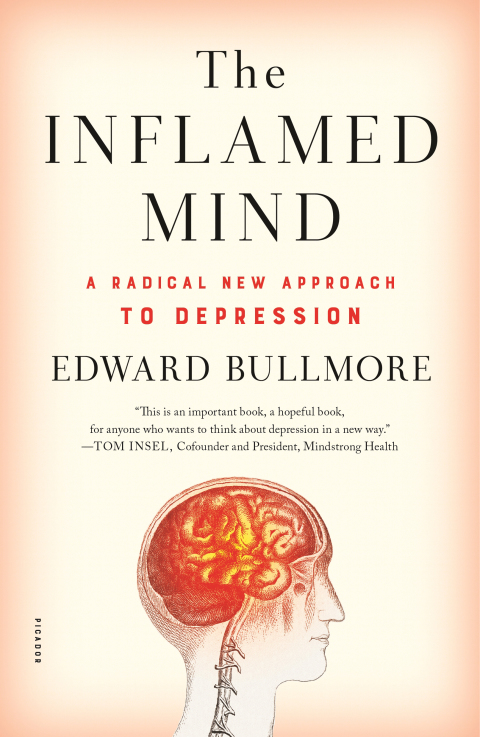Cover image for book The Inflamed Mind