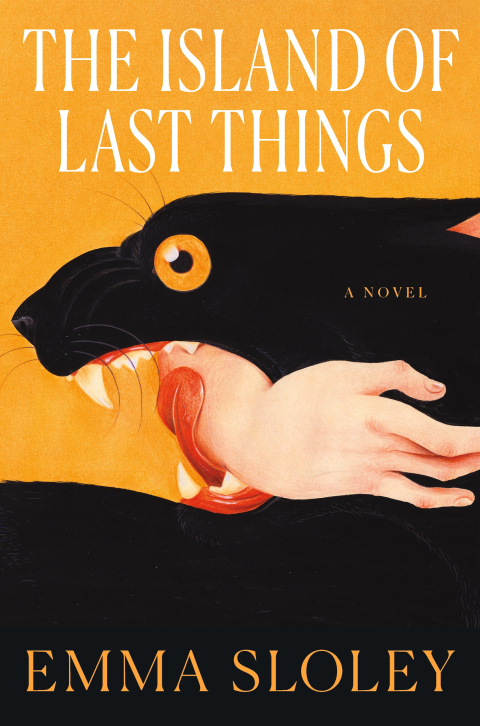 Cover image for book The Island of Last Things