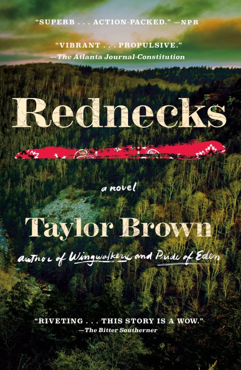 Cover image for book Rednecks