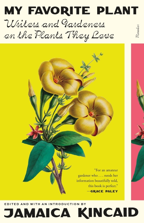 Cover image for book My Favorite Plant