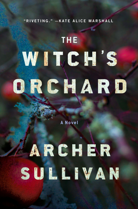 Cover image for book The Witch's Orchard