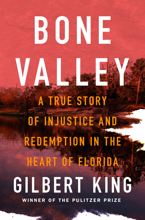 Cover image for book Bone Valley