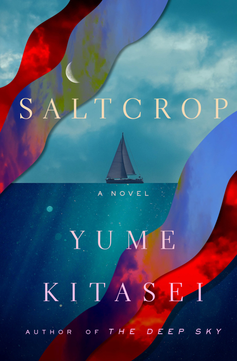 Cover image for book Saltcrop