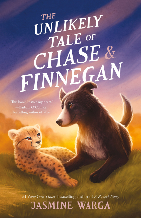 Cover image for book The Unlikely Tale of Chase and Finnegan
