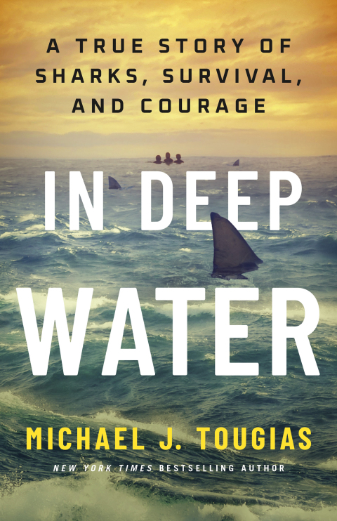 Cover image for book In Deep Water