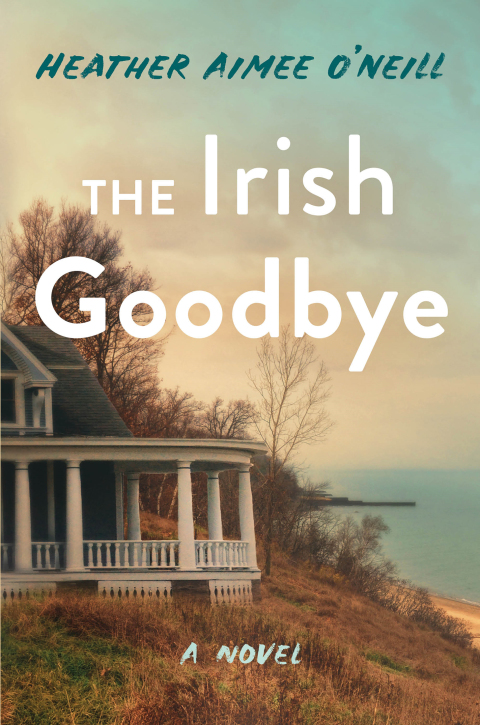 Cover image for book The Irish Goodbye