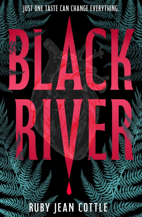 Cover image for book Black River