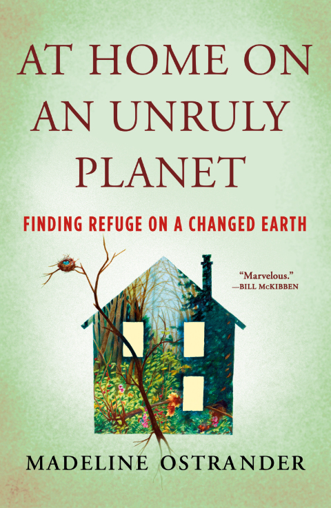 Cover image for book At Home on an Unruly Planet