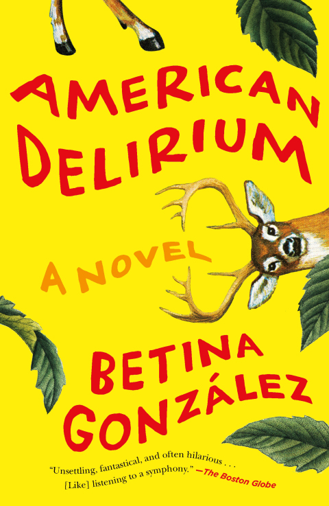 Cover image for book American Delirium