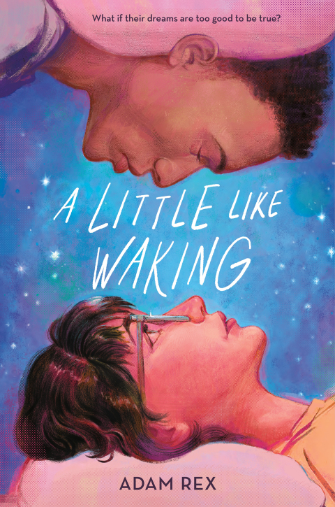 Cover image for book A Little Like Waking