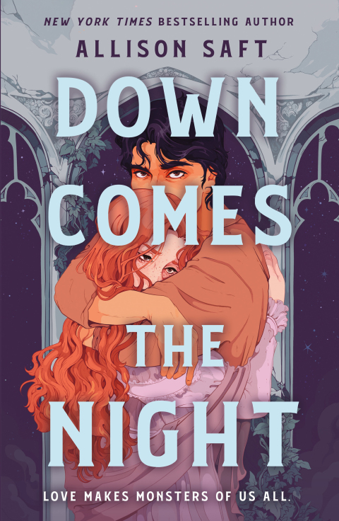 Cover image for book Down Comes the Night
