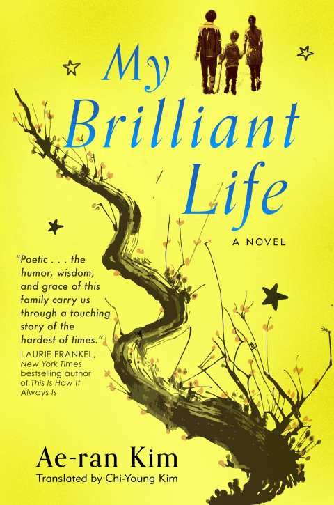 Cover image for book My Brilliant Life