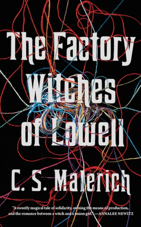 Cover image for book The Factory Witches of Lowell