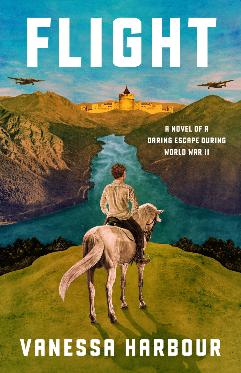 Cover image for book Flight