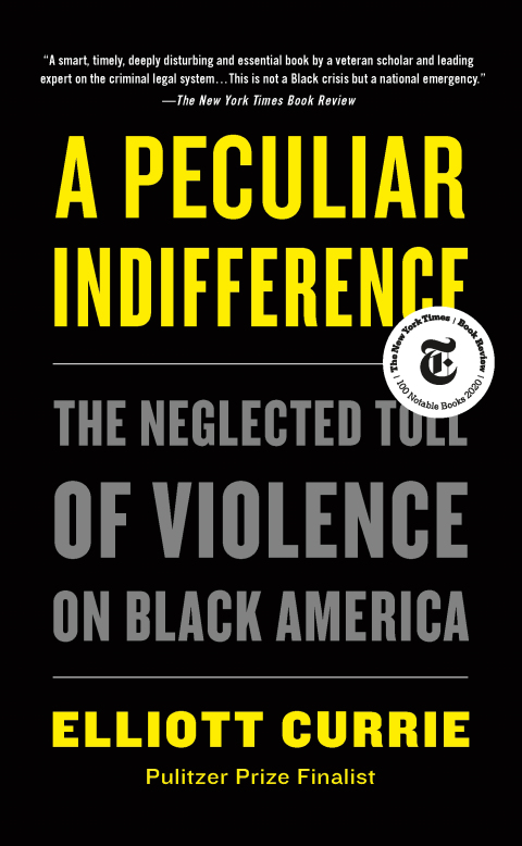 Cover image for book A Peculiar Indifference