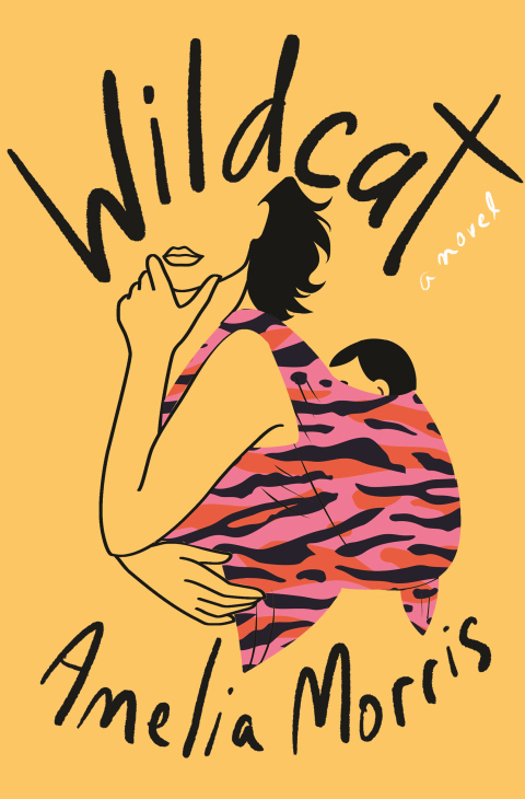 Cover image for book Wildcat