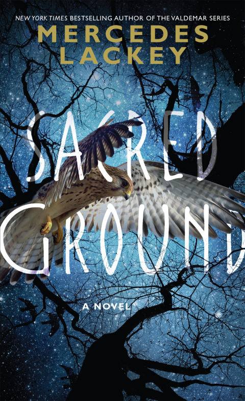 Cover image for book Sacred Ground