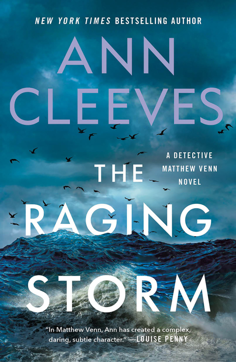 Cover image for book The Raging Storm