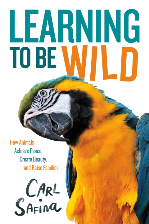 Cover image for book Learning to Be Wild (A Young Reader's Adaptation)