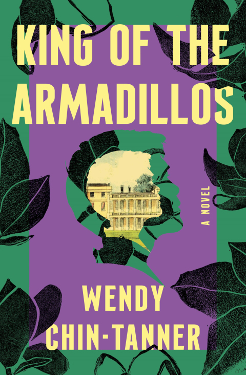 Cover image for book King of the Armadillos