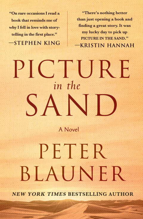 Cover image for book Picture in the Sand