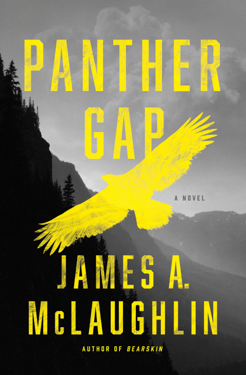 Cover image for book Panther Gap
