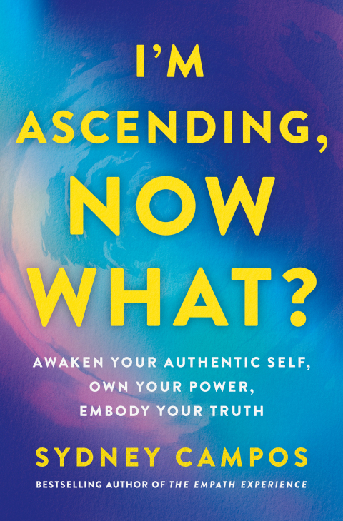 Cover image for book I'm Ascending, Now What?