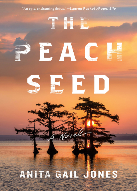 Cover image for book The Peach Seed