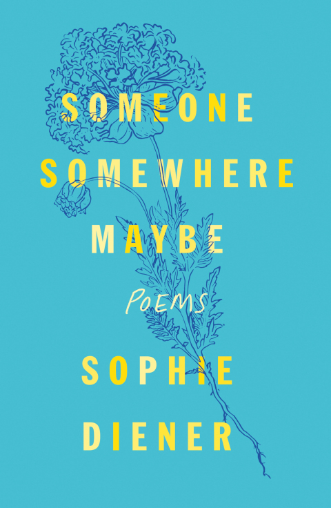 Cover image for book Someone Somewhere Maybe