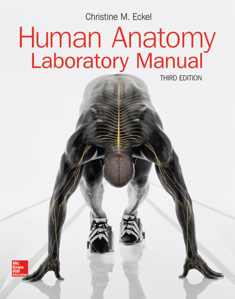 Cover image for book Human Anatomy Lab Manual