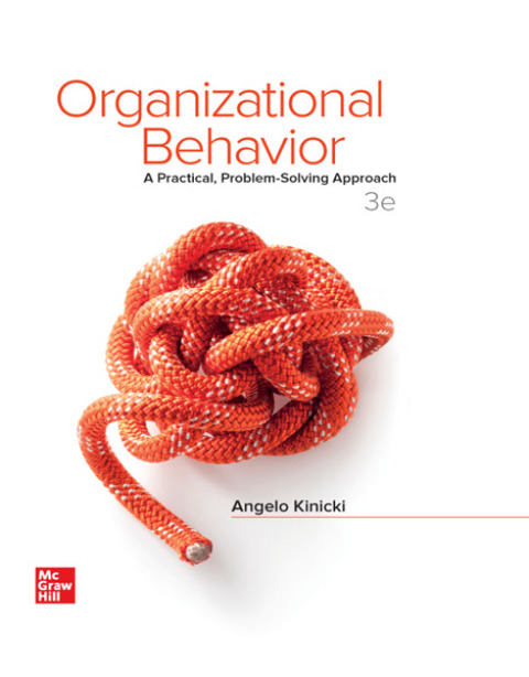 Cover image for book Organizational Behavior: A Practical, Problem-Solving Approach