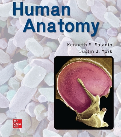Cover image for book Human Anatomy: 2024 Release