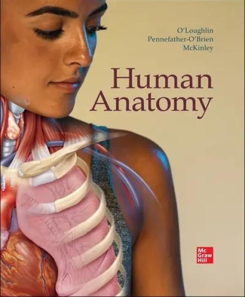 Cover image for book Human Anatomy