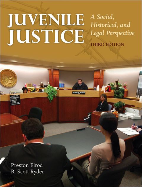 Cover image for book Juvenile Justice: A Social, Historical, and Legal Perspective