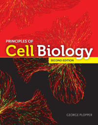 Principles Of Cell Biology 2nd Edition | 9781284047608, 9781284087840 ...