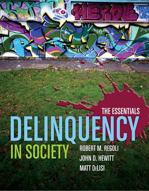 Cover image for book Delinquency in Society: The Essentials