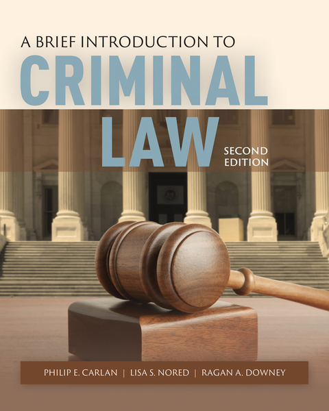 Cover image for book A Brief Introduction to Criminal Law