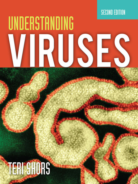 Cover image for book Understanding Viruses