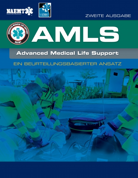 Cover image for book AMLS German: Ein Beurteilungsbasierter Ansatz