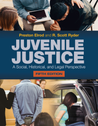 Titelbild: Juvenile Justice: A Social, Historical, and Legal Perspective 5th edition 9781284172898