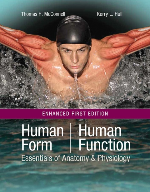 Cover image for book Human Form, Human Function