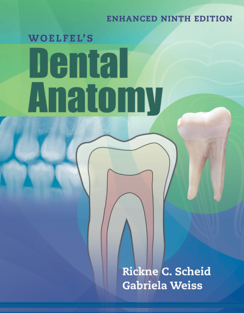 Cover image for book Woelfel's Dental Anatomy, Enhanced Edition