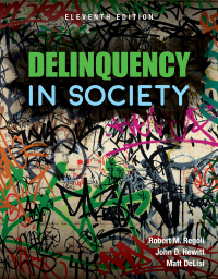 Titelbild: Delinquency in Society 11th edition 9781284208450