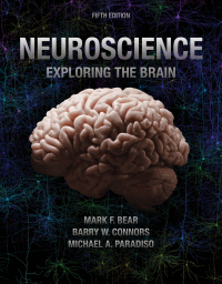 Neuroscience: Exploring the Brain